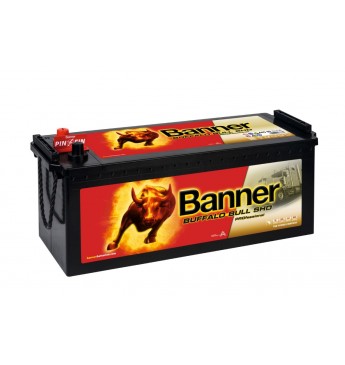 BANNER BUFFALO BULL SHD PRO akum. 12V, 145Ah, 800En 514x189x195/220mm