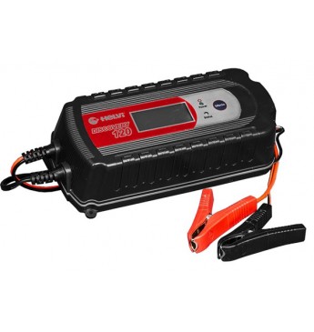 Battery Charger Discovery 120 8A